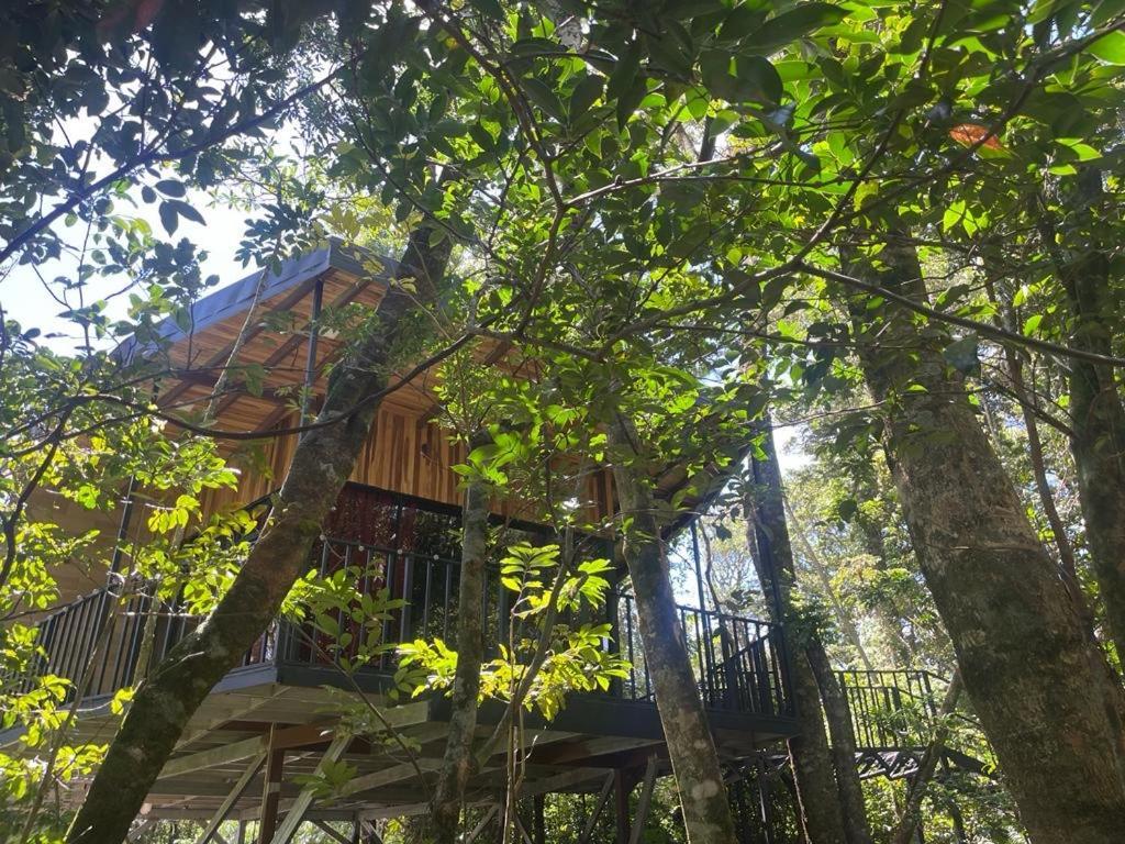 Cabanas Roca Verde Monteverde Екстериор снимка