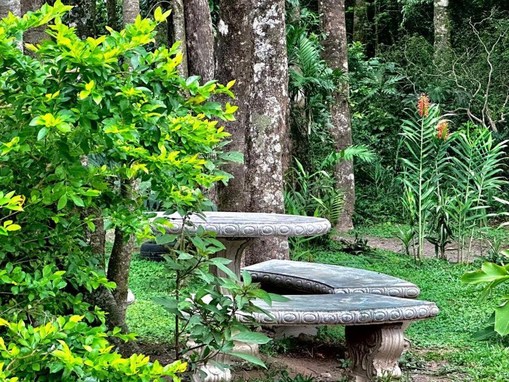 Cabanas Roca Verde Monteverde Екстериор снимка