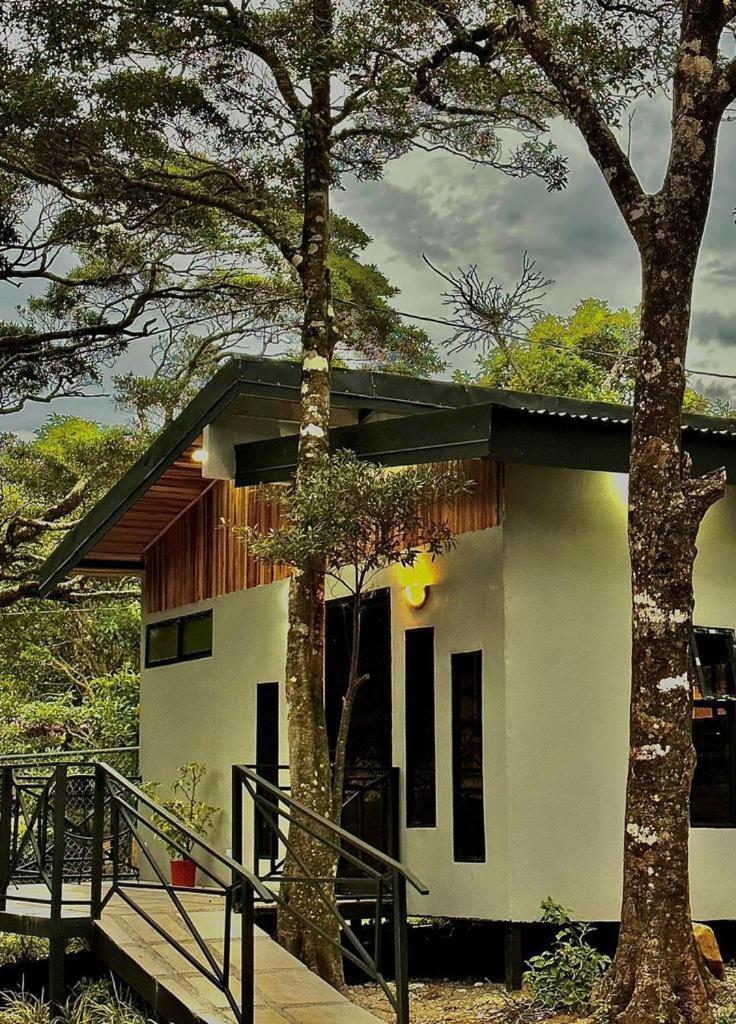 Cabanas Roca Verde Monteverde Екстериор снимка