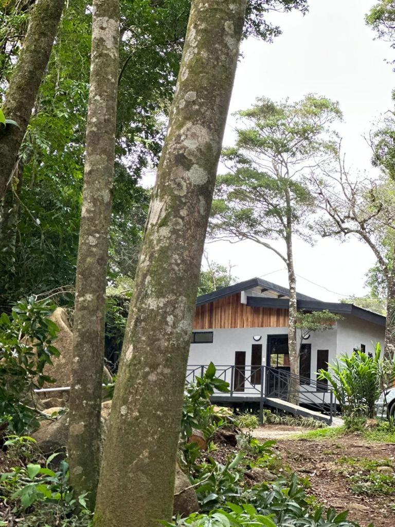 Cabanas Roca Verde Monteverde Екстериор снимка